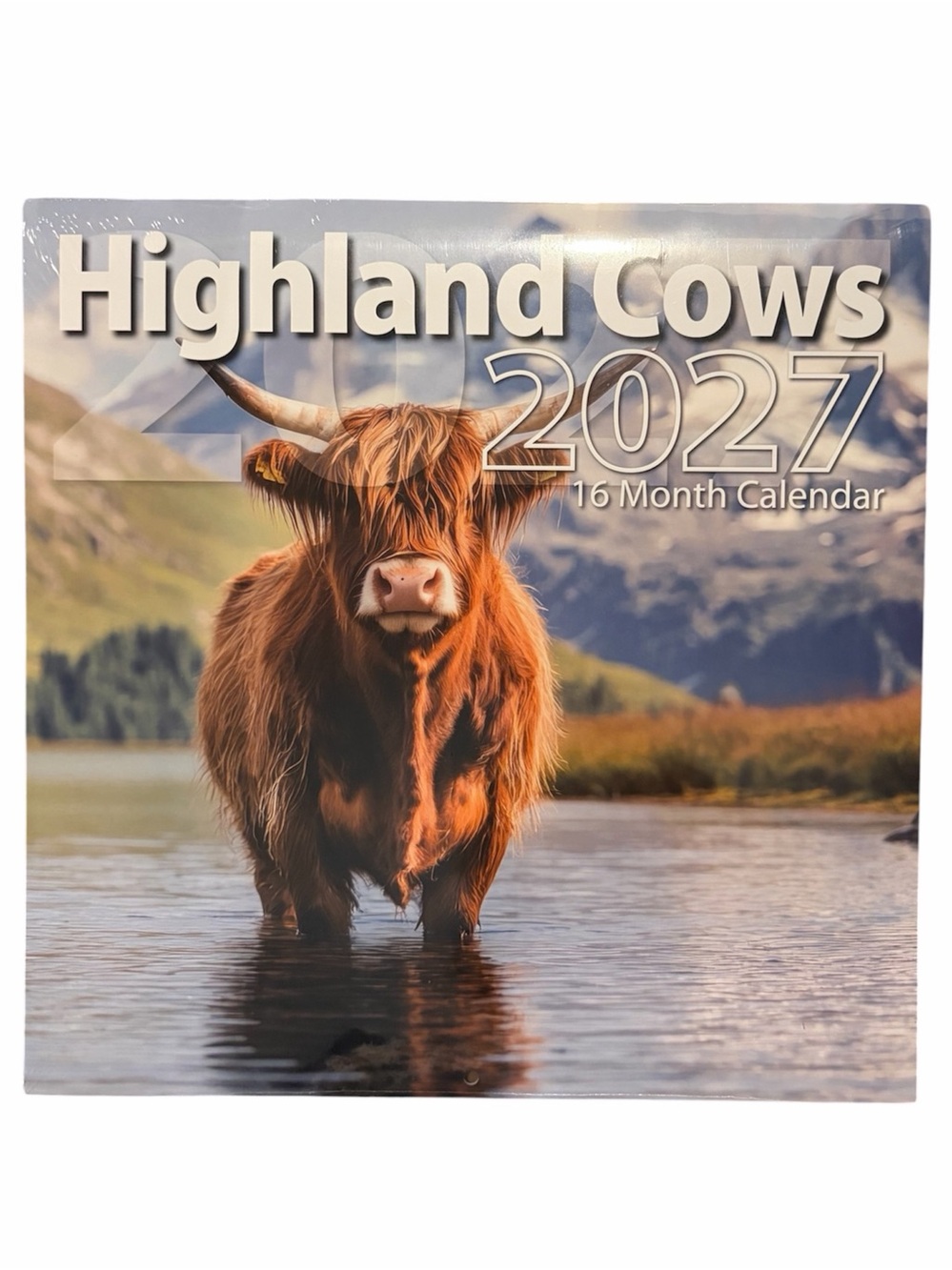 Highland Cows 2027 Calendar - Rust Brown